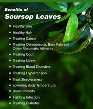 Load image into Gallery viewer, Soursop Tea