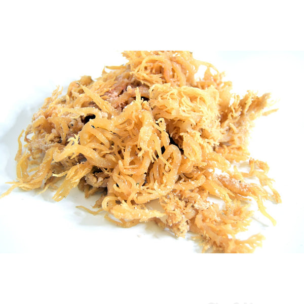Irish Sea Moss
