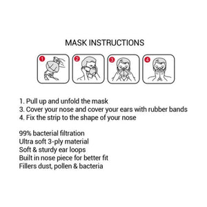 3-Ply Disposable Face Mask-1 each